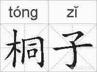 桐子的拼音