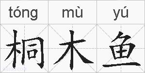 桐木鱼的拼音