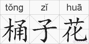 桶子花的拼音