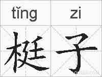 梃子的拼音