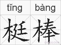 梃棒的拼音