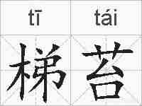 梯苔的拼音