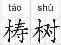 梼树的拼音