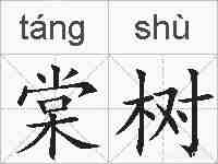 棠树的拼音