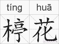 楟花的拼音