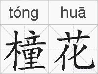 橦花的拼音