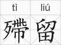 殢留的拼音
