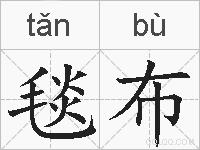 毯布的拼音