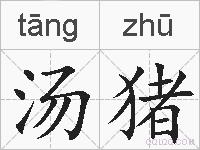 汤猪的拼音