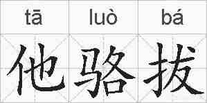 他骆拔的拼音