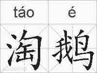 淘鹅的拼音