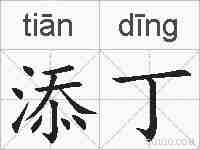 添丁的拼音