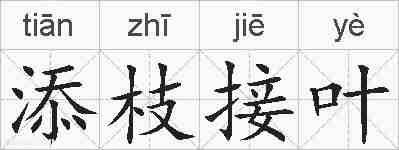 添枝接叶的拼音