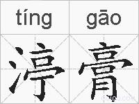 渟膏的拼音