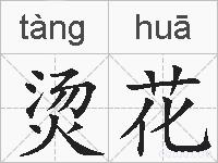 烫花的拼音