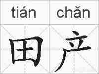 田产的拼音