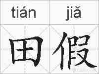 田假的拼音