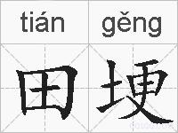 田埂的拼音