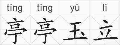 亭亭玉立的拼音