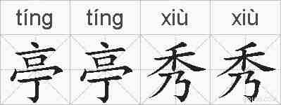 亭亭秀秀的拼音