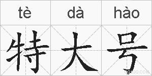特大号的拼音