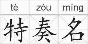 特奏名的拼音