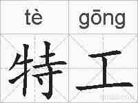 特工的拼音