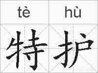 特护的拼音