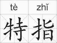 特指的拼音