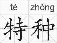 特种的拼音
