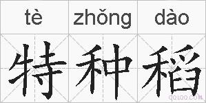 特种稻的拼音
