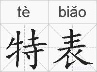特表的拼音