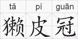 獭皮冠的拼音