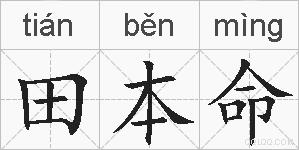 田本命的拼音