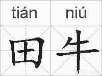 田牛的拼音