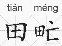 田甿的拼音