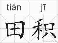 田积的拼音