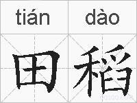 田稻的拼音