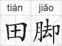 田脚的拼音