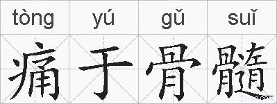 痛于骨髓的拼音