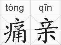 痛亲的拼音