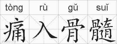 痛入骨髓的拼音