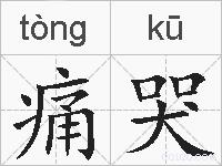 痛哭的拼音