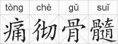 痛彻骨髓的拼音