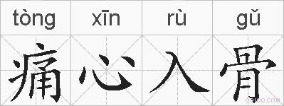 痛心入骨的拼音