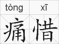 痛惜的拼音