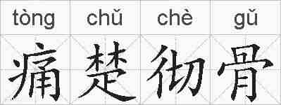 痛楚彻骨的拼音