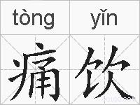 痛饮的拼音
