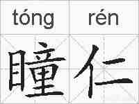 瞳仁的拼音