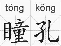 瞳孔的拼音